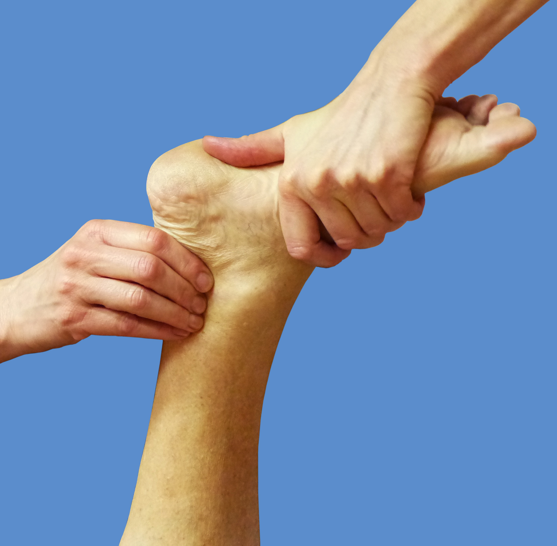 Manuelle Therapie - mit den Händen den Fuß mobilisieren